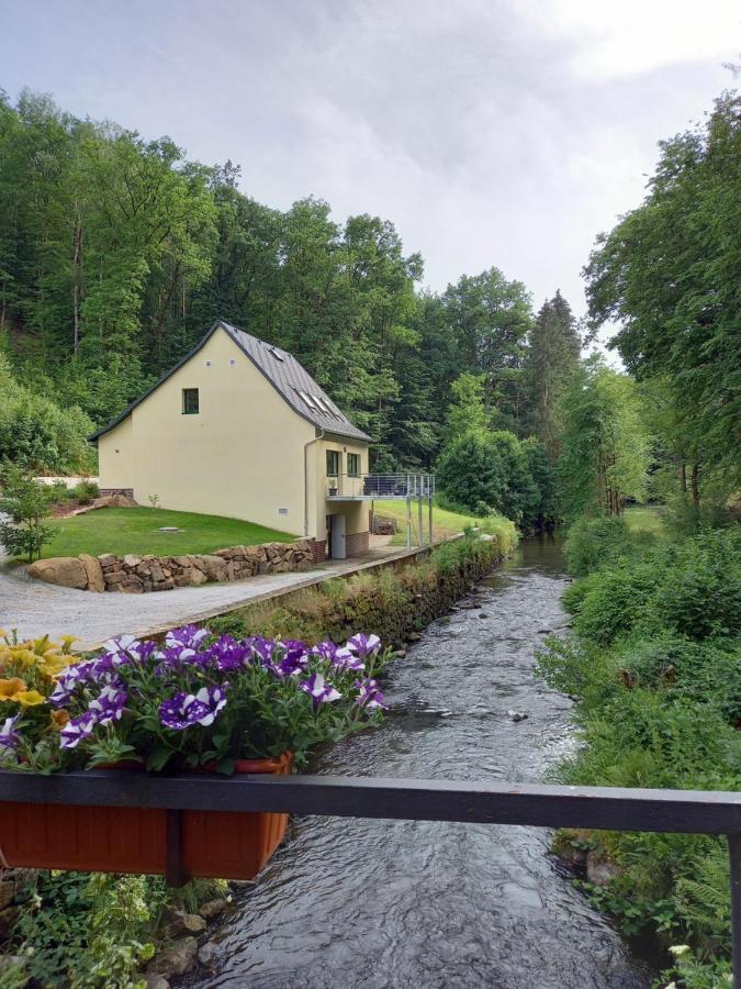 Ferienhaus Buschmuehle - Stolpen Dış mekan fotoğraf