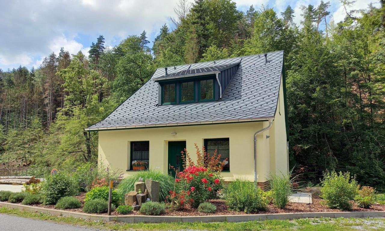 Ferienhaus Buschmuehle - Stolpen Dış mekan fotoğraf