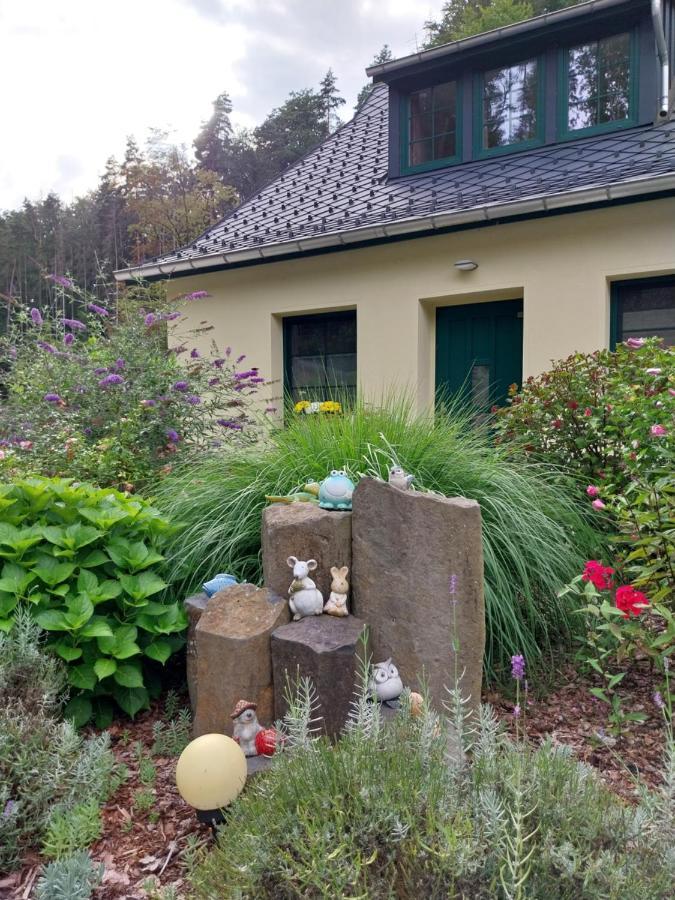 Ferienhaus Buschmuehle - Stolpen Dış mekan fotoğraf